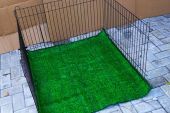 kandang-anjing-kucing-02