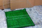 kandang-anjing-kucing-03