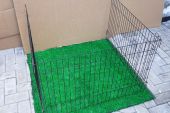 kandang-anjing-kucing-04