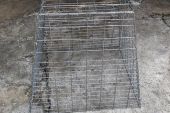 kandang-ayam-jago-4
