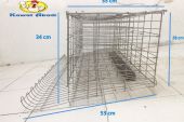 kandang-ayam-layer-1
