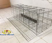 Kandang Ayam Layer