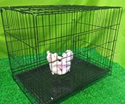 Kandang Anjing/Kucing